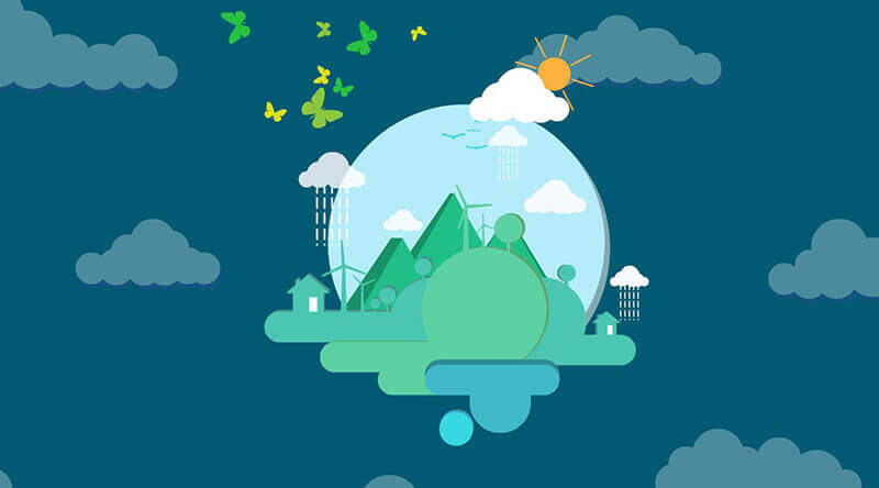 理性与情感的平衡：两性关系中的双重力量