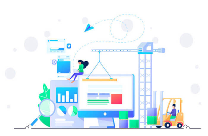 理性与情感的平衡：两性关系中的双重力量